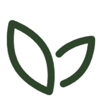 Mga Produktong Materyal na Bio-Friendly